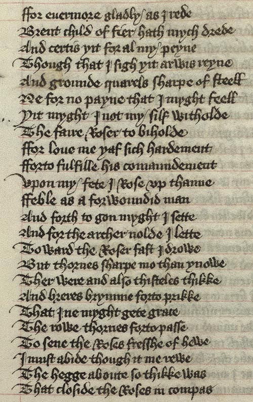 Manuscript - detail of text