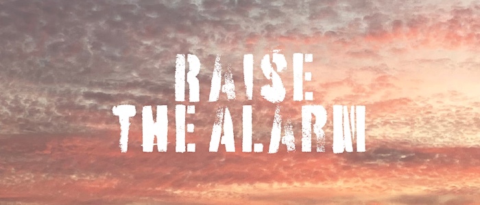 Image for Raise the Alarm